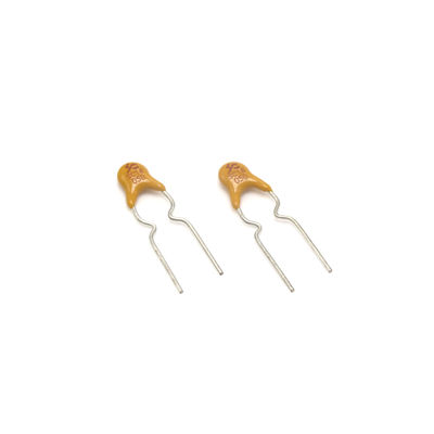 SOCAY PPTC Radial Lead Resetable Polymer PTCs SC16 0.5A Für IT-Ausrüstung